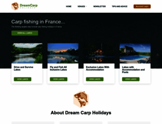 dreamcarpholidays.com screenshot