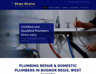 dripsdrainsandplumbingpains.com screenshot