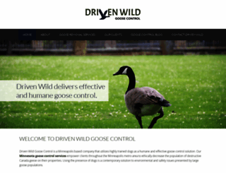 driven-wild.com screenshot
