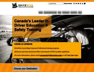 drivewisesafety.com screenshot