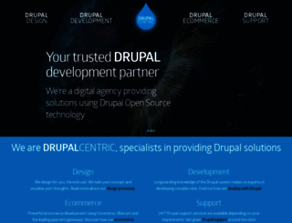 drupalcentric.solutions screenshot