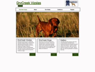 drycreekvizslas.com screenshot