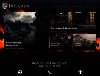 ducksteinrestoration.com screenshot