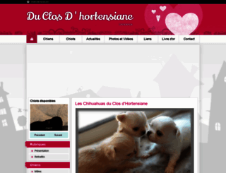 duclosdhortensiane.chiens-de-france.com screenshot