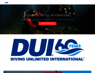 dui-online.com screenshot