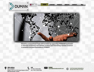 dumandanismanlik.com screenshot