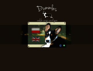 dummles.pl screenshot