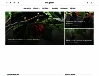 dut.gen.tr screenshot