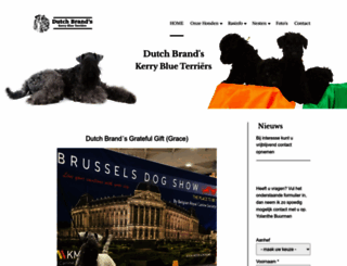 dutch-brand.nl screenshot