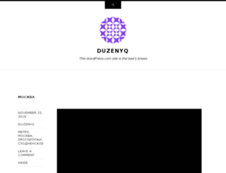 duzenyq.wordpress.com screenshot