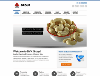 dvkgroup.in screenshot
