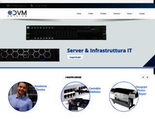 dvmservice.net screenshot