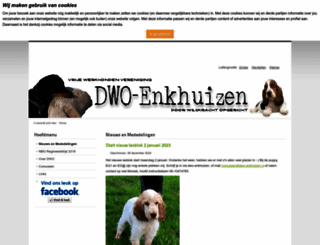 dwo-enkhuizen.nl screenshot