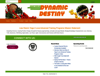 dynamicdestiny.net screenshot