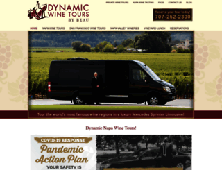 dynamicnapawinetours.com screenshot