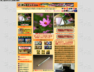 e-0487.com screenshot