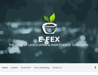 e-fex.co.za screenshot