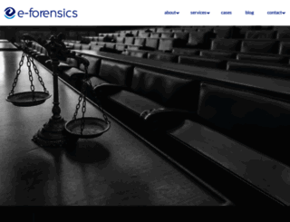 e-forensicsinc.com screenshot