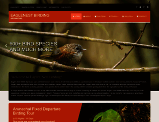 eaglenestbirding.com screenshot