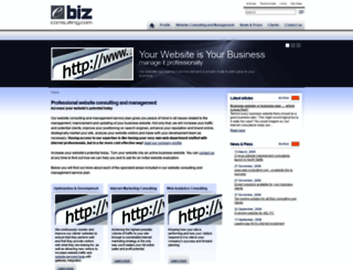ebiz-consulting.com screenshot