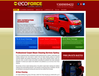 ecoforcecleaning.com.au screenshot