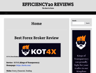 efficiency20.com screenshot