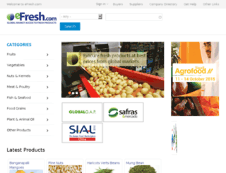 efreshdev.com screenshot