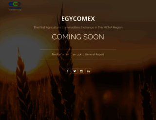 egycomex.com screenshot