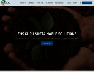 ehsguru.com screenshot