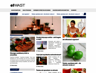 elwast.pl screenshot