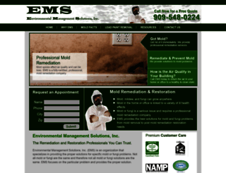 emsmold.com screenshot
