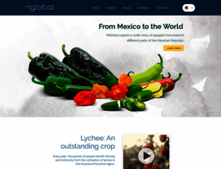 en.nglobal.com.mx screenshot