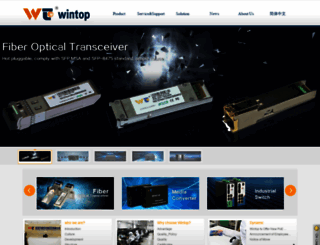 en.wintoptec.com screenshot