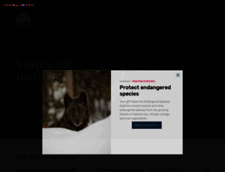 endangered.org screenshot
