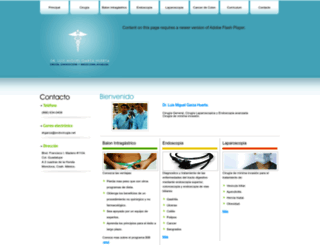 endocirugia.net screenshot