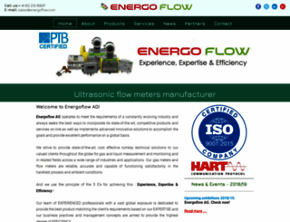 energoflow.com screenshot