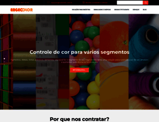 engecolornet.com.br screenshot