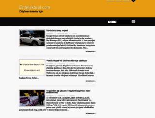 entelektuel.com screenshot