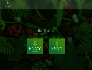 envybrand.com screenshot