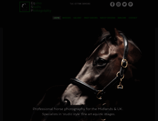 equinestudio.photography screenshot