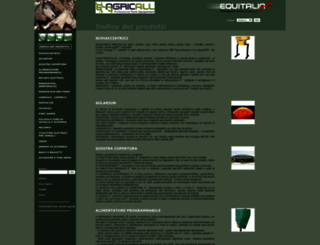 equitalia.it screenshot
