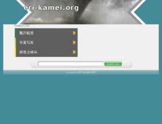 eri-kamei.org screenshot