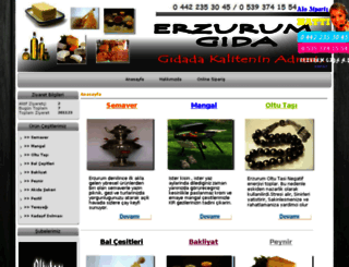 erzurumgida.com screenshot