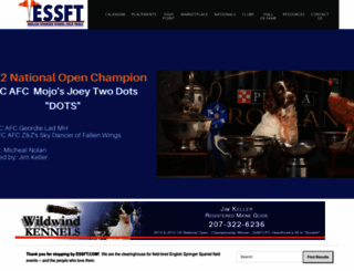 essft.com screenshot