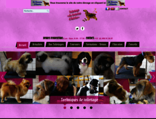 esthetiquecanine.com screenshot