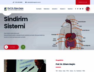 ethemgecim.com.tr screenshot
