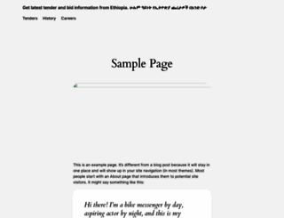 ethiotender.com screenshot