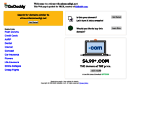 eticaretdanismanligi.net screenshot