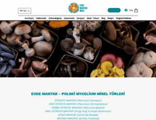 evdemantar.com screenshot