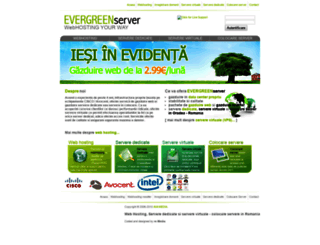 evergreenserver.com screenshot